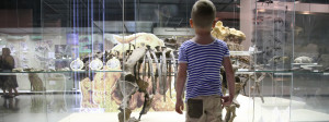 boy observing dinosaur bones